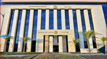 فرص عمل جديدة في الأردن: التخصصات المطلوبة وشروط التقديم في الشركات المحلية